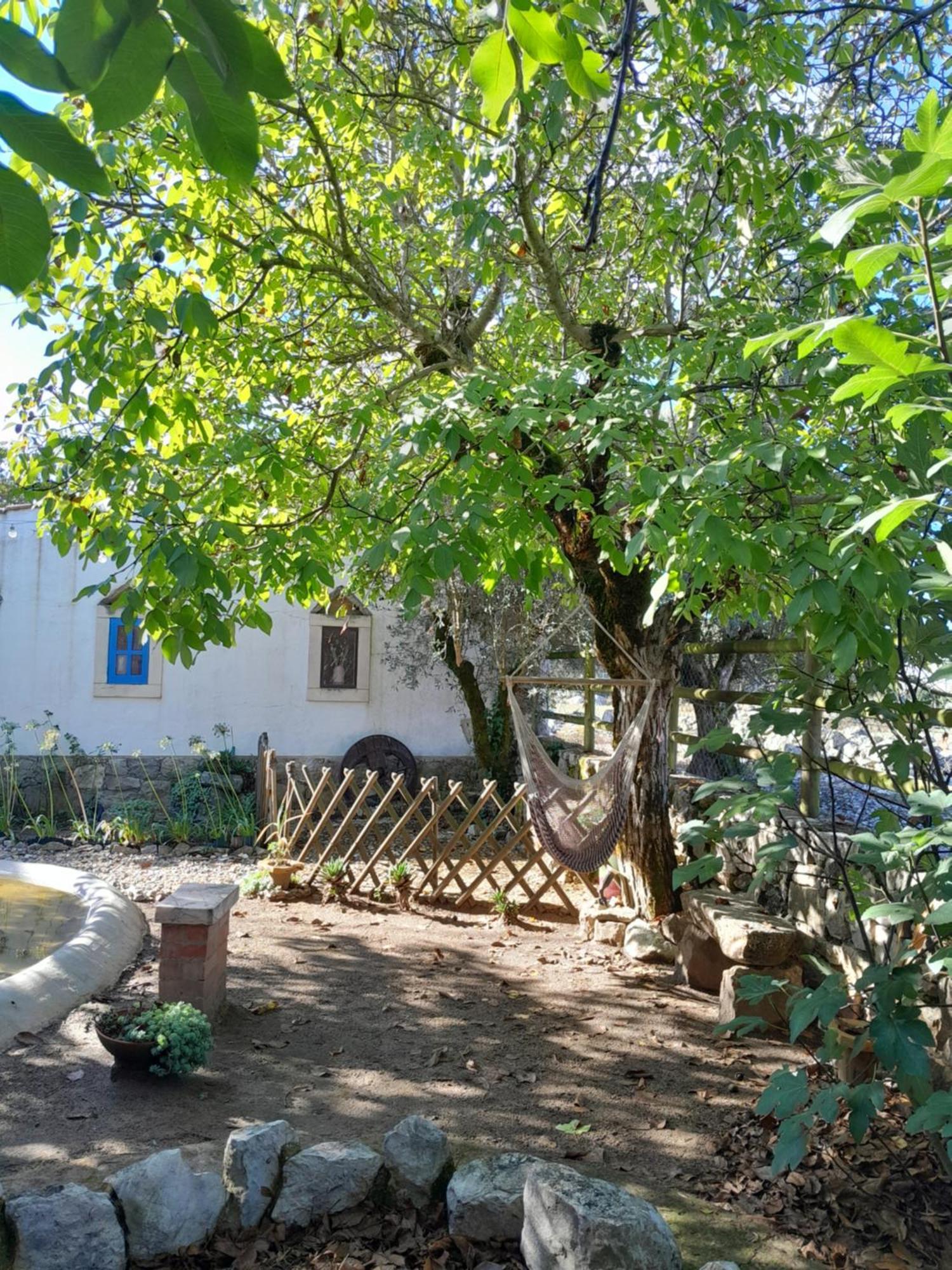 Refugio Das Artes Guesthouse Porto de Mós Eksteriør bilde
