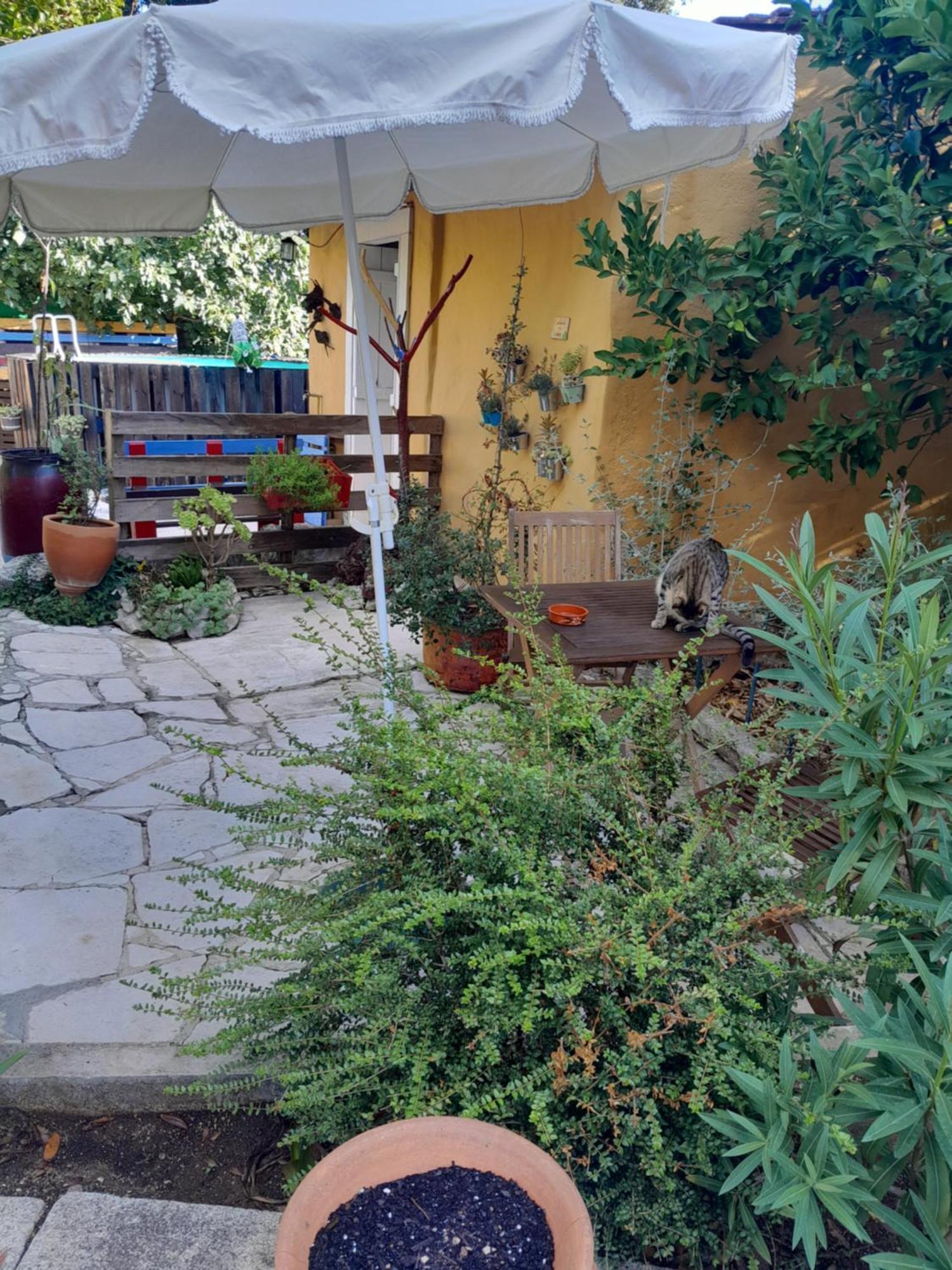 Refugio Das Artes Guesthouse Porto de Mós Eksteriør bilde