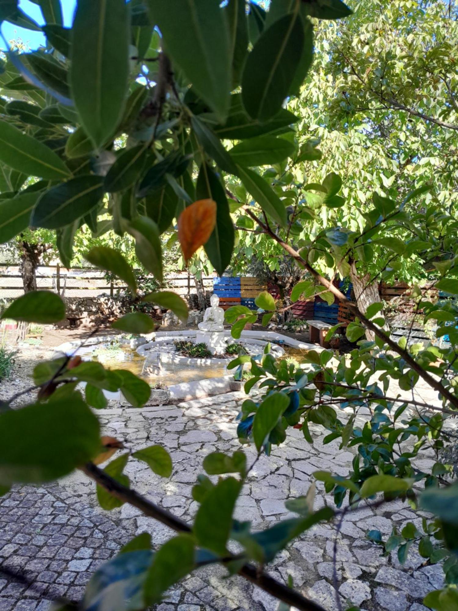 Refugio Das Artes Guesthouse Porto de Mós Eksteriør bilde
